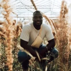 GOT BAG Hip Bag Heuptas Starfish -Tas Promotie Winkel image 1 1 5